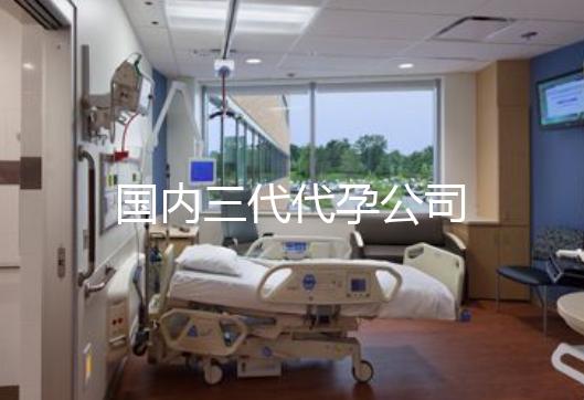 国内三代代孕公司