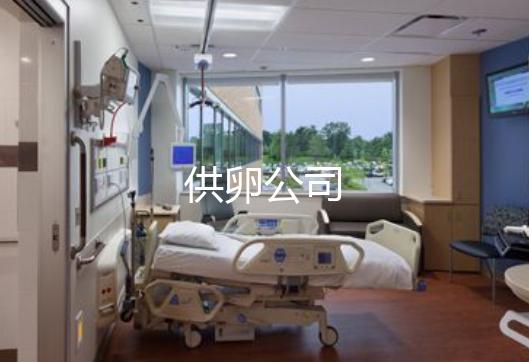供卵公司
