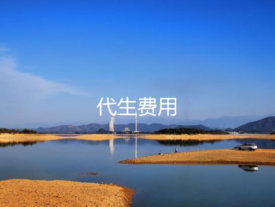 代生费用